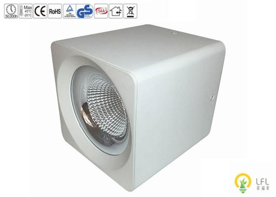 Surface Mounted Outdoor LED Illumination Energy-Saving and Lighting 100-305V 50/60Hz